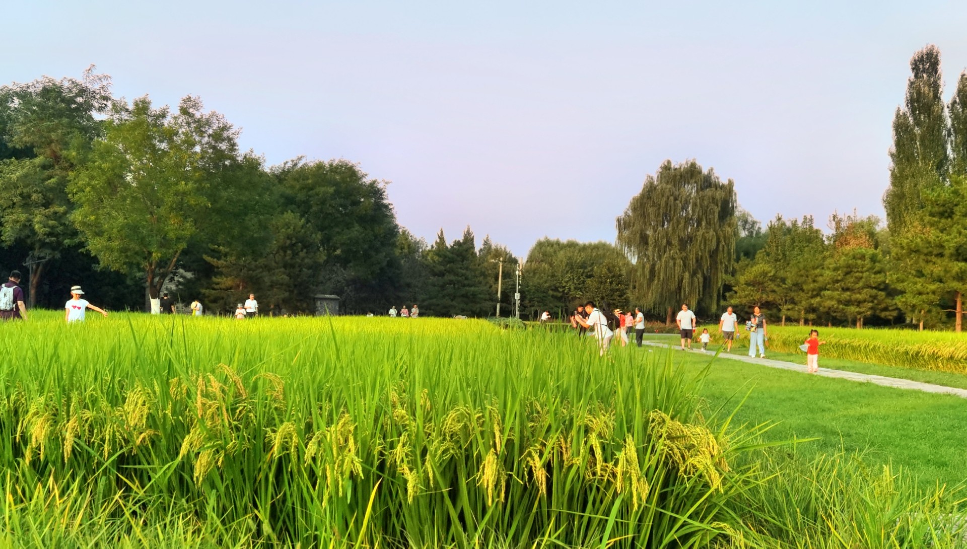 北坞公园1.jpg